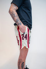 Load image into Gallery viewer, MR. DAYGO Mesh Shorts
