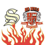 Load image into Gallery viewer, SUHI4EVER Mesh Shorts
