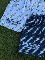 Load image into Gallery viewer, BOLTG4NG Mesh Shorts
