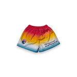 Load image into Gallery viewer, Women&#39;s Daygo Faithful Wave Mesh Shorts
